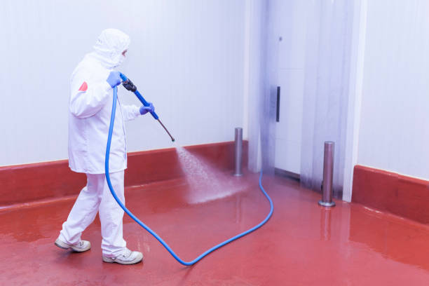 Best Restaurant Pressure Washing  in Woods Hole, MA